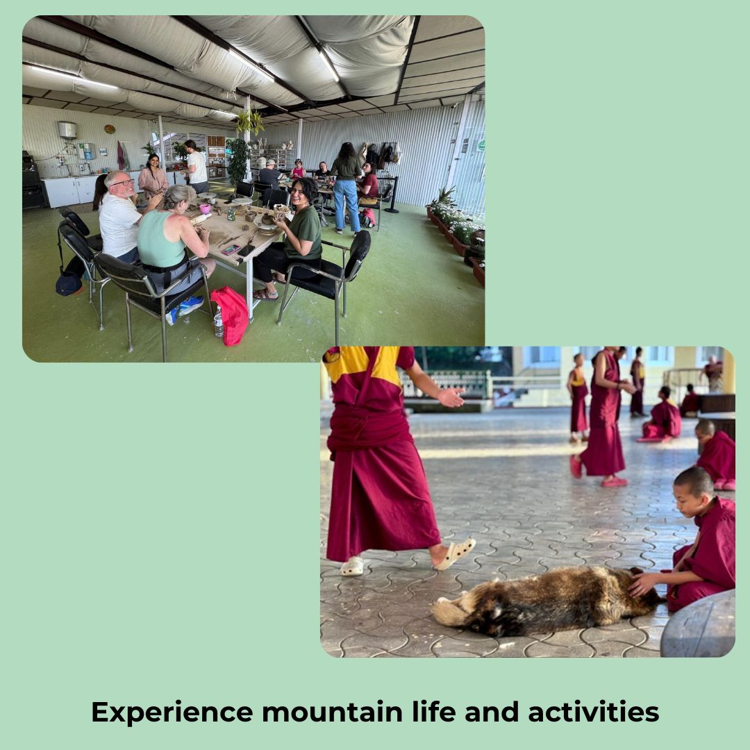 
                  
                    India Mountain Dog Study Tour 2027 Spot Reservation
                  
                