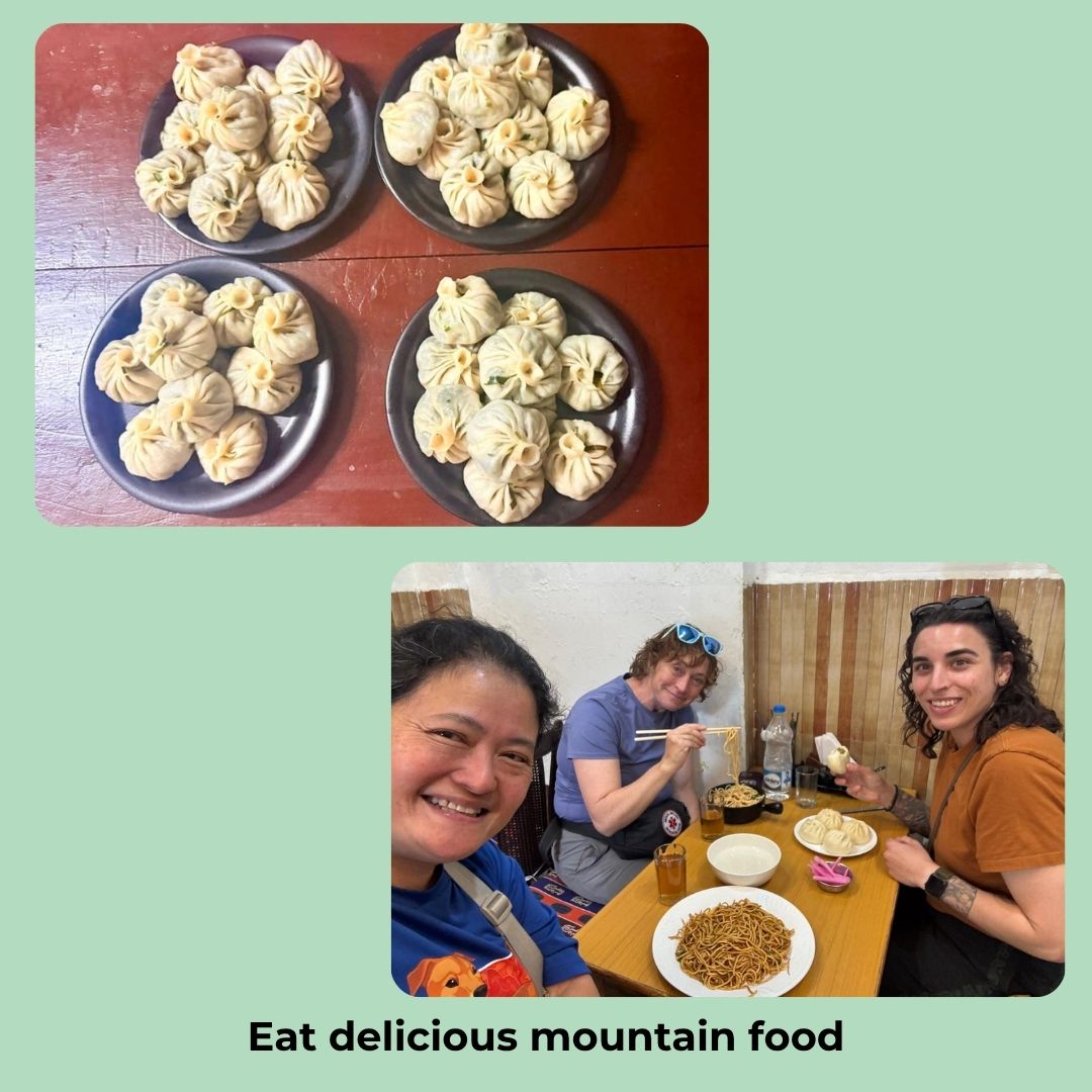 
                  
                    India Mountain Dog Study Tour 2027 Spot Reservation
                  
                