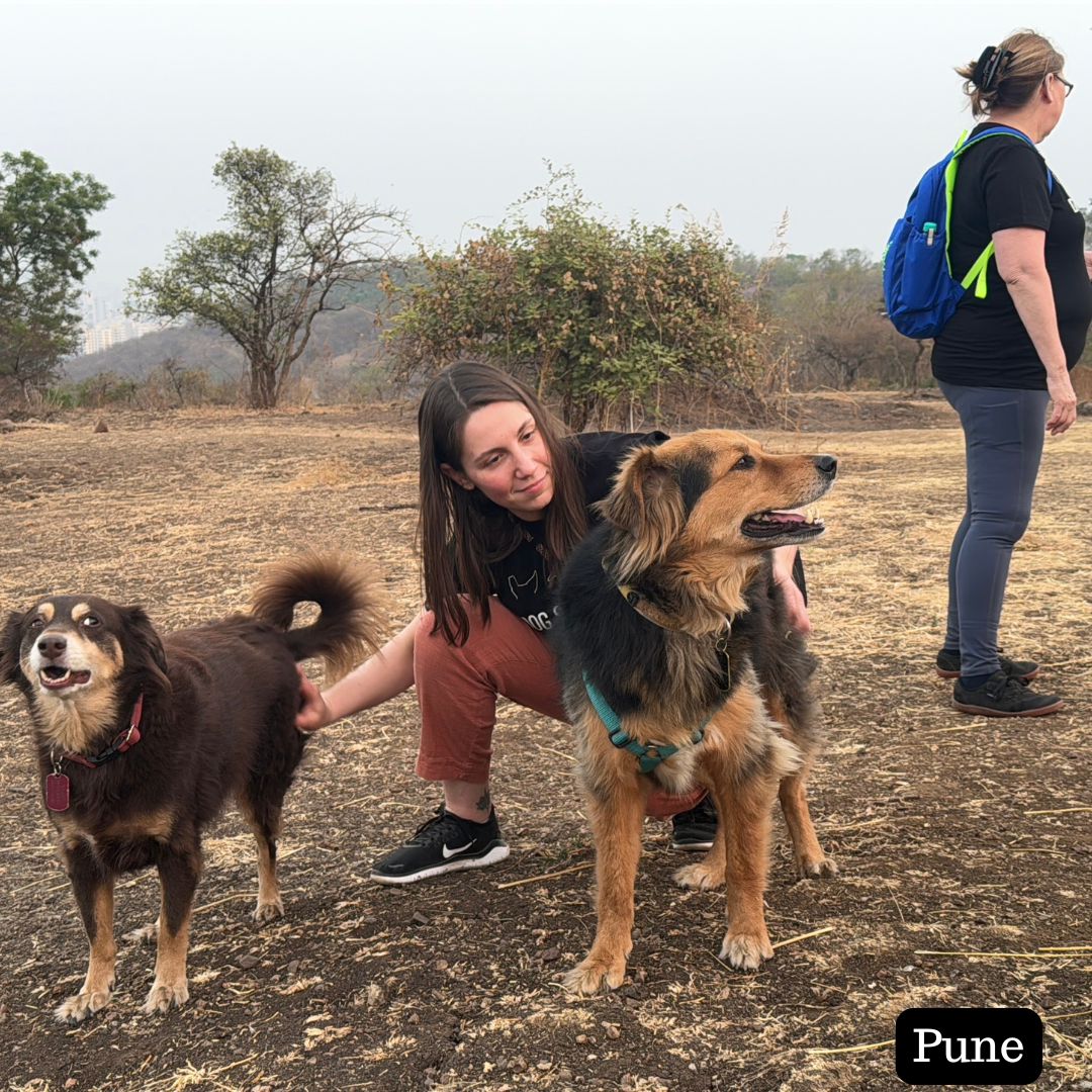 
                  
                    Two people with two dogs in an open field with trees in the background, labeled 'Pune'.
                  
                