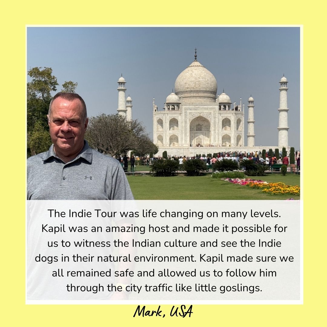 
                  
                    India Dog Study Tour and Immersive Experience (Tour 2) Spot Reservation
                  
                