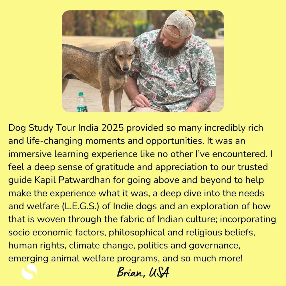 
                  
                    India Dog Study Tour and Immersive Experience (Tour 2) Spot Reservation
                  
                