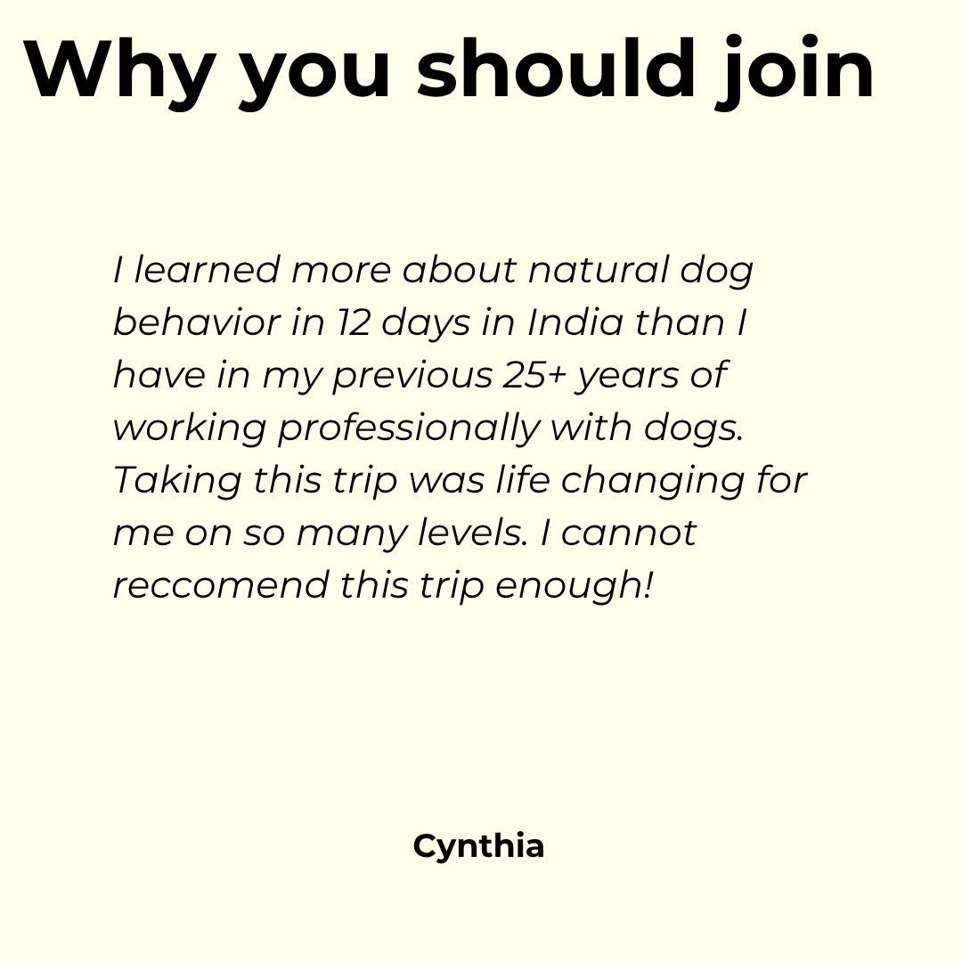
                  
                    India Dog Study & Immersive Experience Tours 2027
                  
                