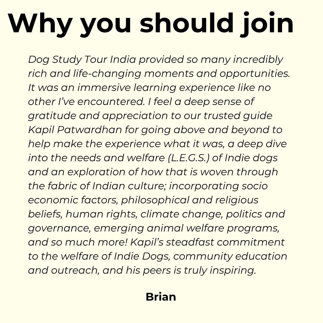 
                  
                    India Dog Study & Immersive Experience Tours 2027
                  
                