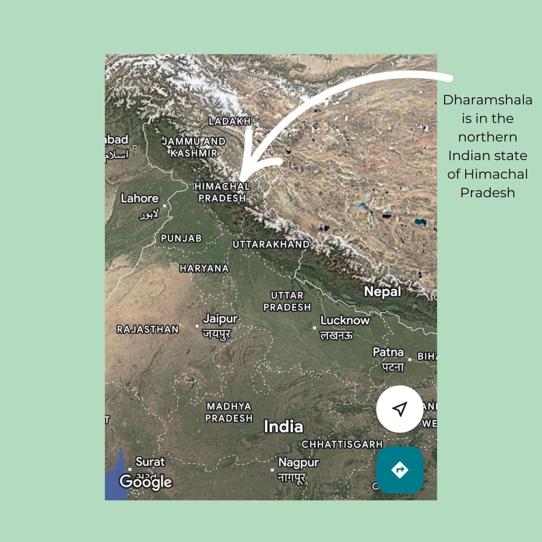 
                  
                    India Mountain Dog Study Tour 2027 Spot Reservation
                  
                