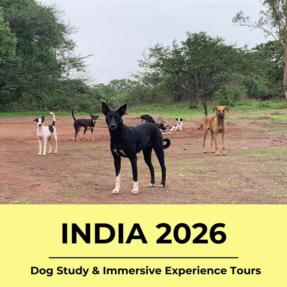 
                  
                    India Dog Study Tour and Immersive Experience (Tour 2) Spot Reservation
                  
                