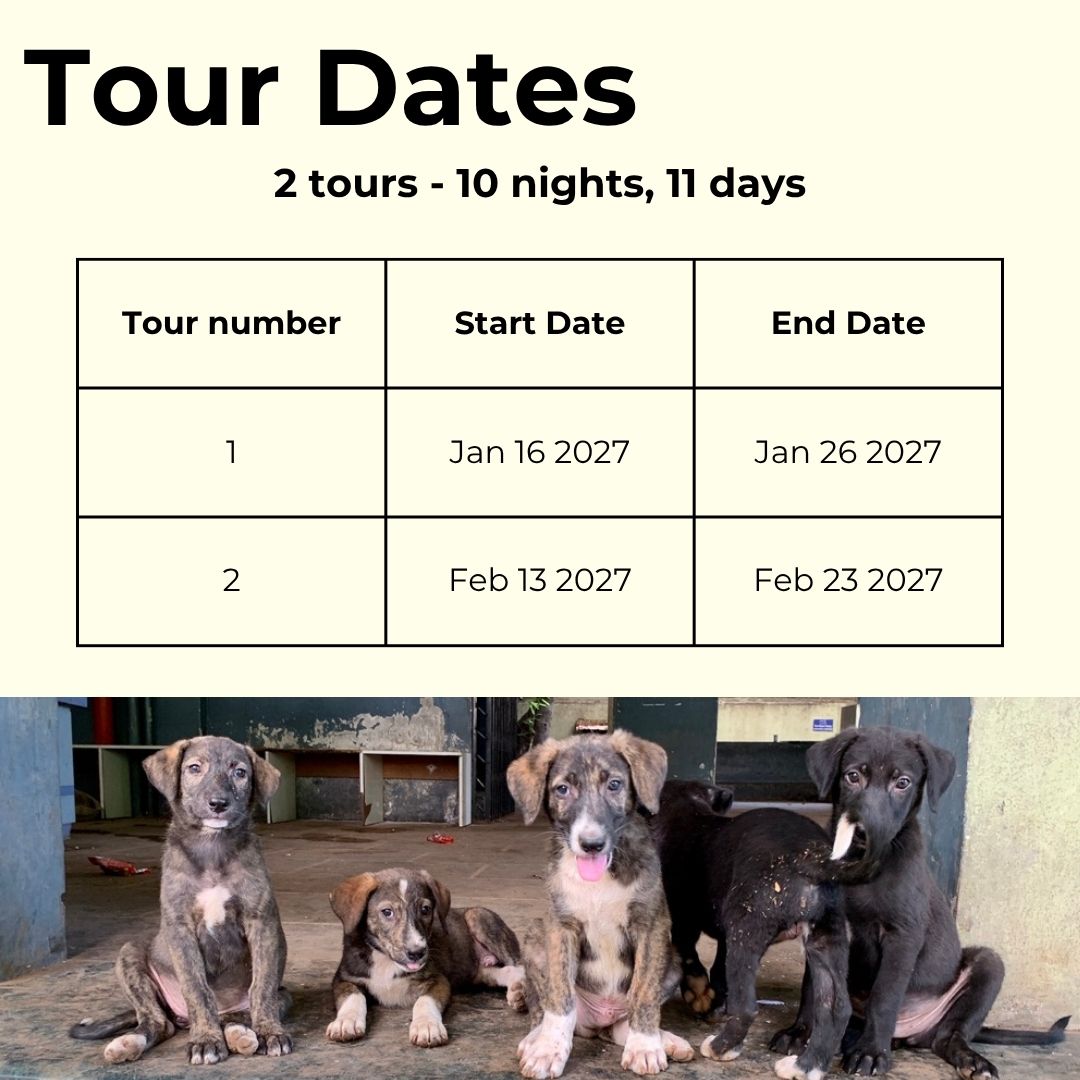 
                  
                    Calendar with tour dates and puppies sitting together.
                  
                