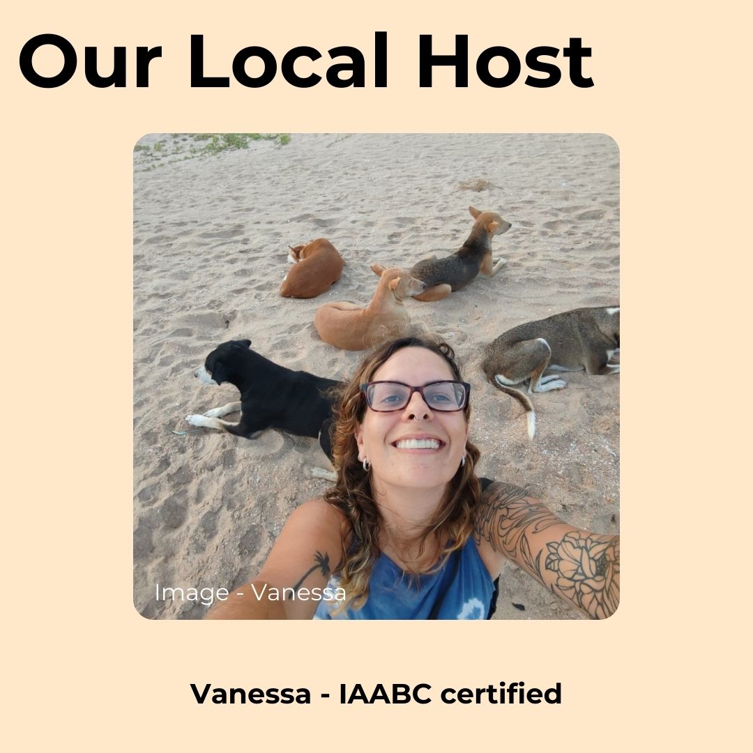 
                  
                    Sri Lanka Dog Study Tour and Immersive Experience (Tour 3) Spot Reservation
                  
                