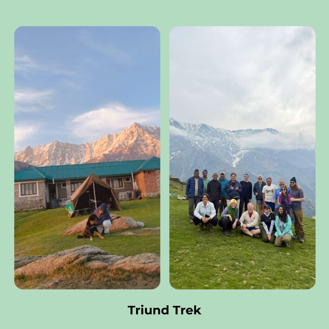 
                  
                    India Mountain Dog Study Tour 2027 Spot Reservation
                  
                