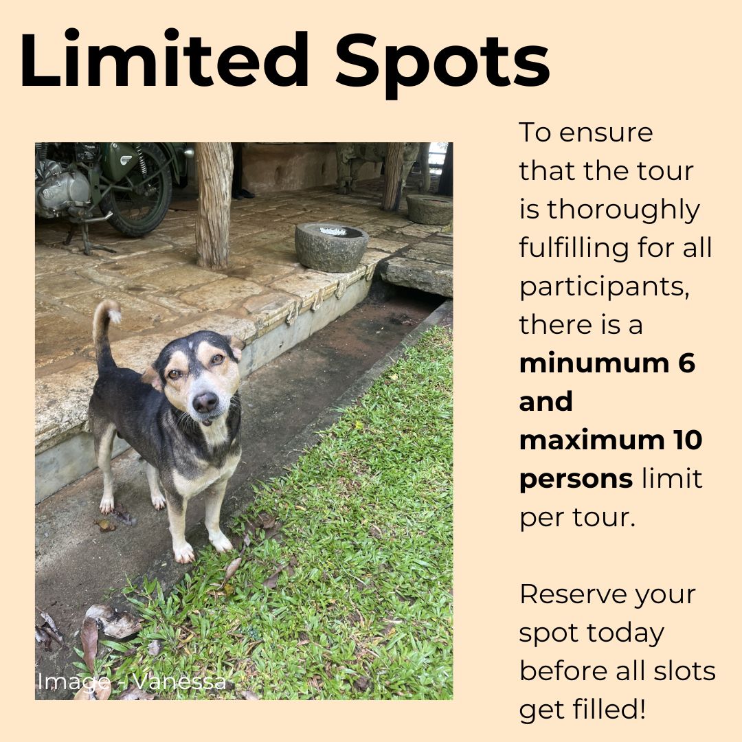 
                  
                    Sri Lanka Dog Study Tour and Immersive Experience (Tour 3) Spot Reservation
                  
                